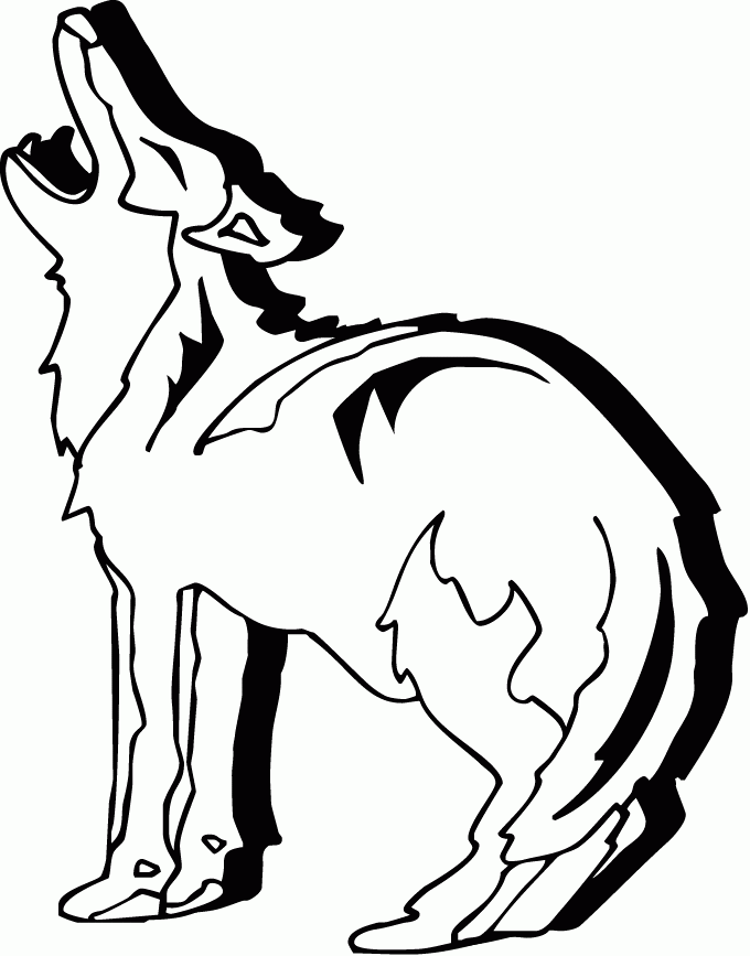 Enlarge coyote.gif